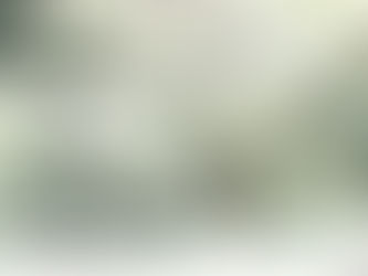 The Heat and Outdoor Wedding Venues in Maryland
Prosperity Mansion