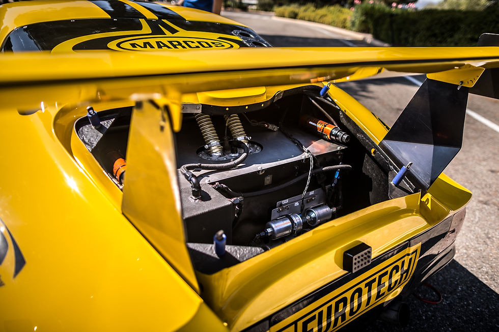 Miniature : MARCOS MANTIS