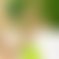 Hanf in der Textilbranche – nachhaltig, robust & modern