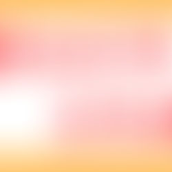 コラム⑦ 「研修」は、自信の“たね”あつめ