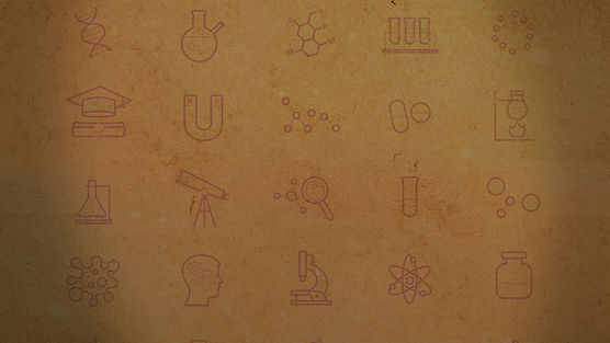 Background_2 copy.jpg
