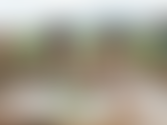 【農業経営の現実】「誰に相談すべきか」で決まる生存率。データが示す頼れるパートナーの選び方