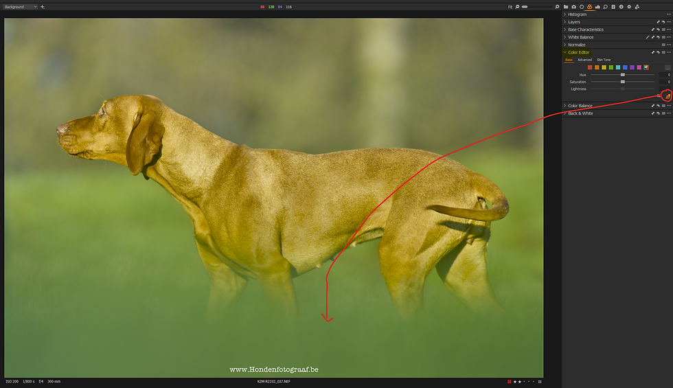 ColorEditorPicker-2.png