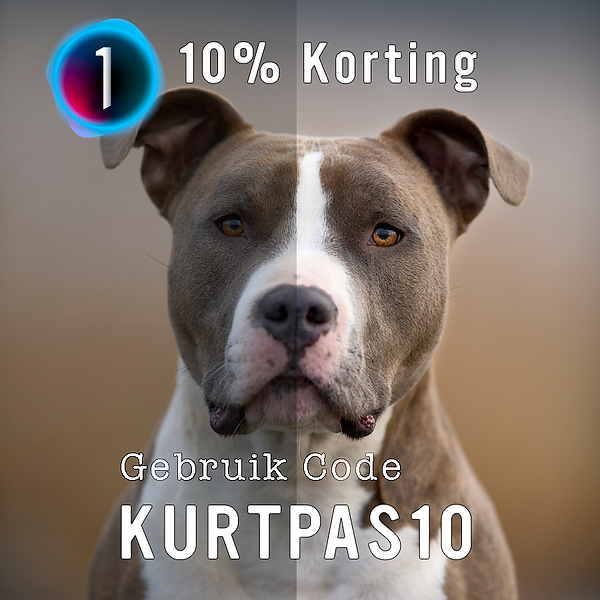 C1-10%.png