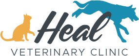 Heal Veterinary Clinic Watertown MA