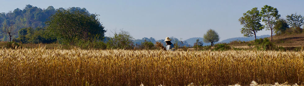 Farmer OHS_©_Bossoro (1) (1)_edited.jpg