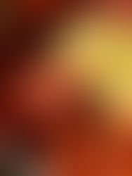 Os melhores restaurantes de Évora