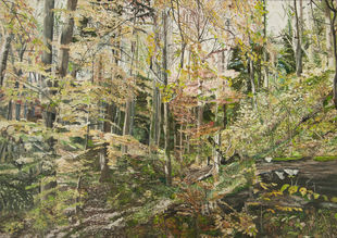 Herbsttobel,
100 x 140 cm,
Öl auf Leinwand, 2011,
©Rik Beemsterboer
30% Rabatt. 
Statt Fr. 6500.- zahlen Sie  Fr. 4550,- 