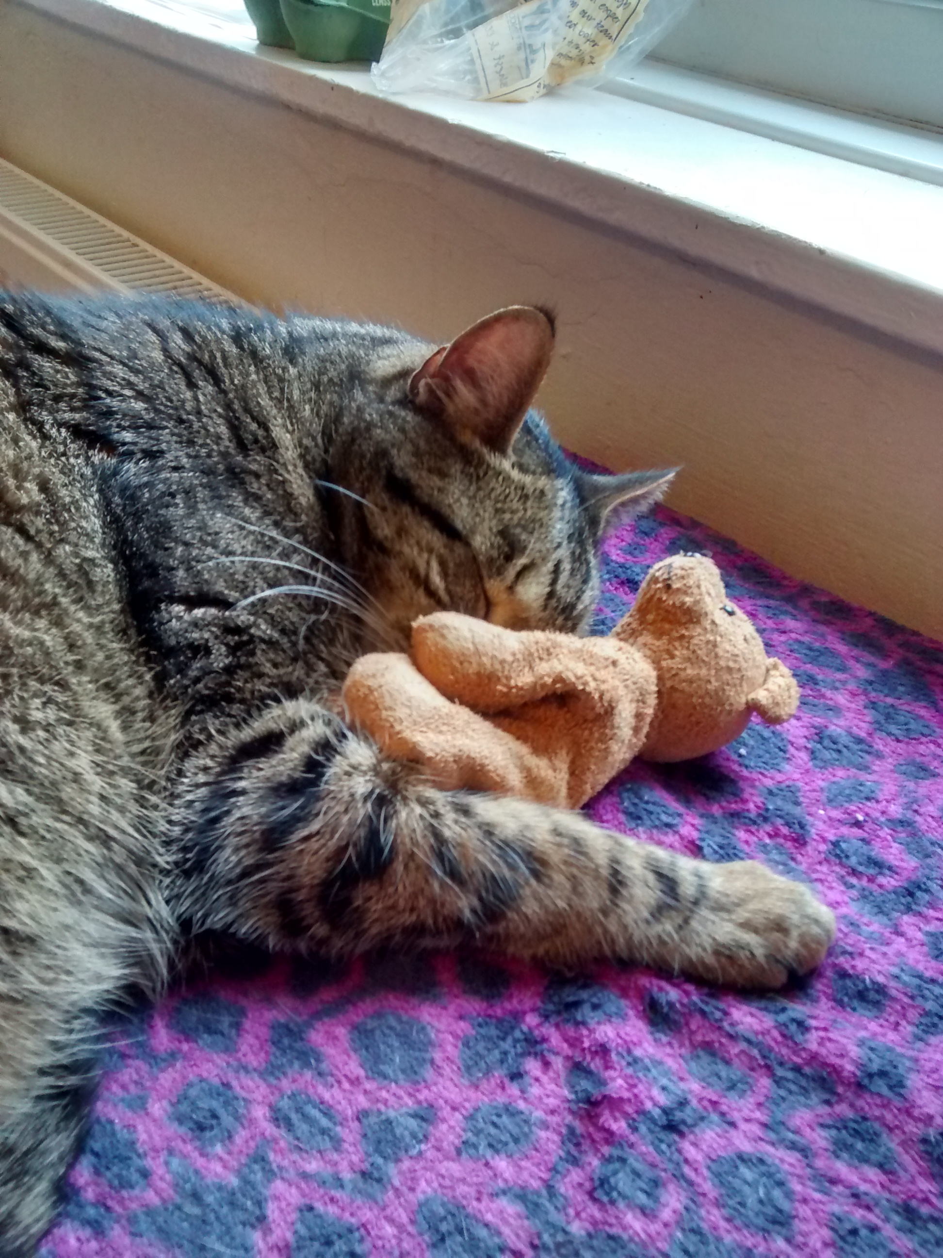 More Cuteness