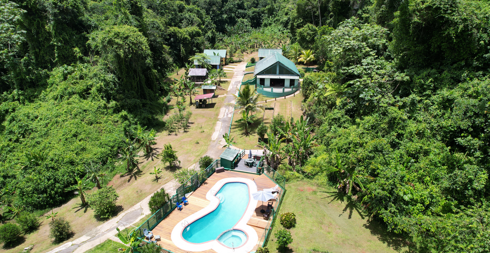 Walking farm tour at TJ Ranch karst mountains Puerto Rico