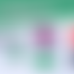 Seguridad las 24 hrs.