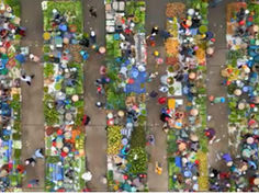 Nuevo video de IRNAD en la semana del Respeto a la Diversidad