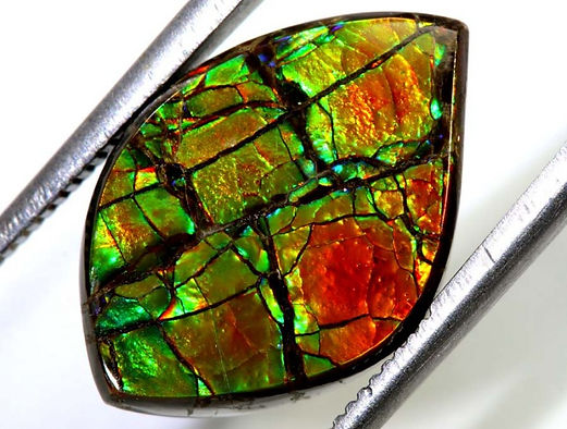 Ammolite pierre naturelle