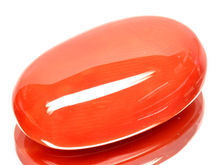 Corail, tout ce qu'il faut savoir y compris leurs différentes couleurs, leurs utilisations, leurs prix et bien plus encore