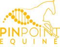 Pinpoint Equine logo