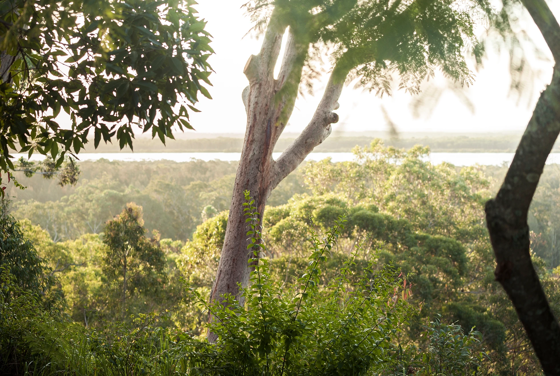 Home Wonganellaestate