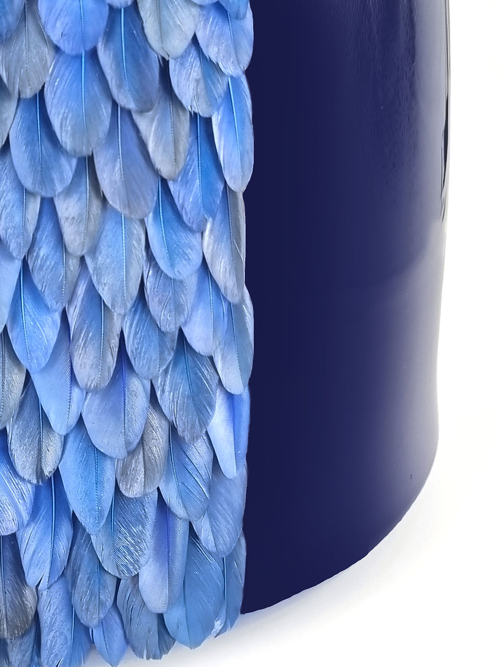 Marqueterie de plumes