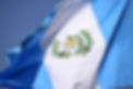 bandera_gt2.jpg