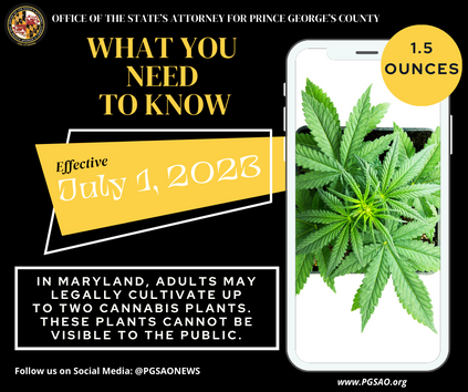 What You Need To Know About Cannabis Legalization in MD.