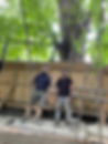 IMG-20220831-WA0009.jpg
