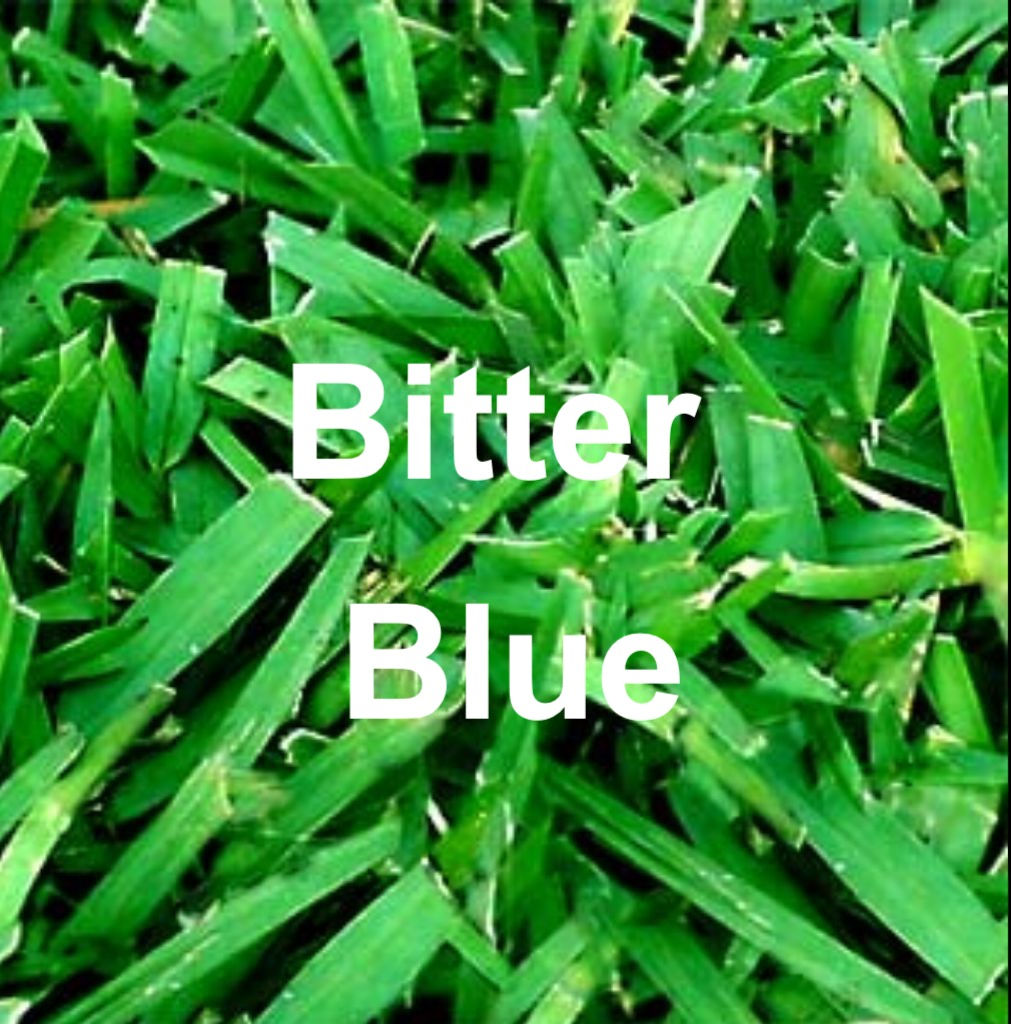 Pallet Bitter-Blue 400sqft ($12.00 wooden pallet)