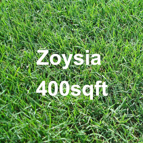 Pallet Zoysia 400sqft (12.00 wooden pallet) Florida Farm