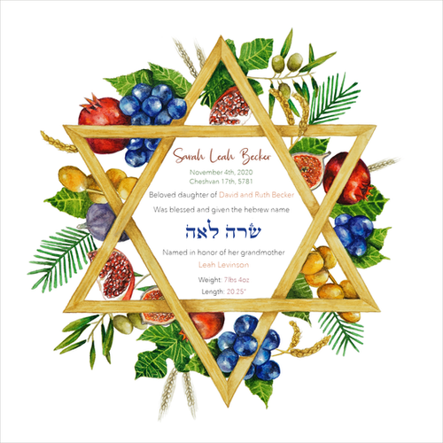 Fruits of Israel Hebrew Baby Naming Certificate The Delicate Brush