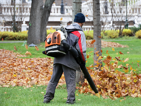 Leaf Cleanup: Tips & Techniques for a Healthier Lawn and Landscape