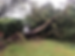 tg-services-img3.png