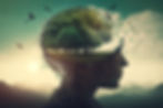 AdobeStock_578539662.jpeg