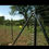Thumbnail: Electric fence installation