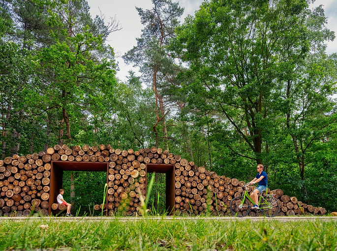cycling-through-the-trees007.jpg