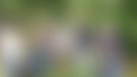 Visionen teilen: Partnermeeting in Mendrisio