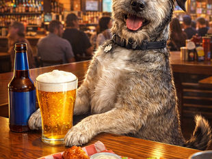 Louisville's Paw-sitively Dog-Friendly Restaurants and Bars