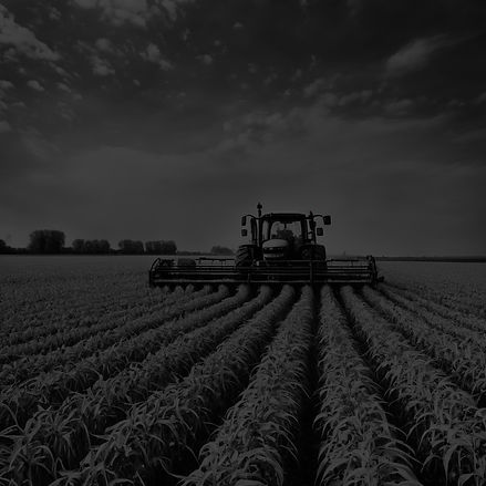 agrilcutural producer black and white of many agriculutral products. mostly growing in a f
