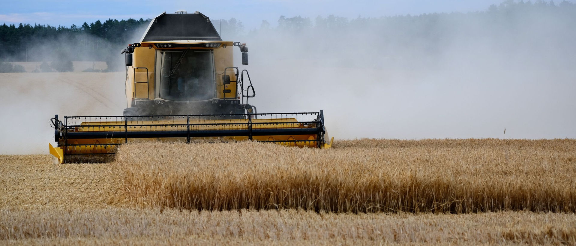 Built around the crop calendar: from field and silo to export terminal.