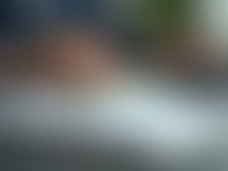 Maximize Your Profits with Professional Accounting Services