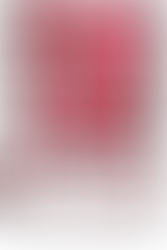 The Bel Air Art Center: Case Study