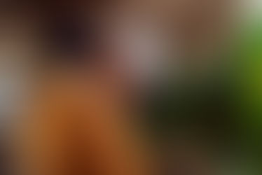 Senior friends hugging and greating candid happy close moment. One of them is holding a fresh bunch of flowers