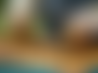 As melhores práticas de resgate de enxames de abelhas