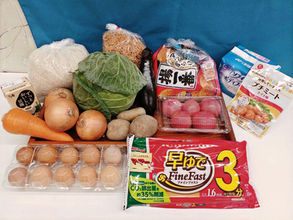 11月の食料品提供会を開催いたしました!(2024)