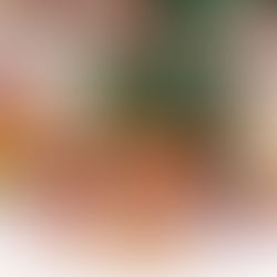 2月の食料品提供会を開催いたしました！（2026）