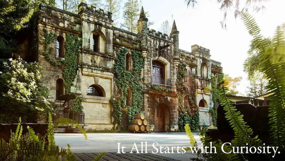 Chateau Montelena Wine Tasting Dinner