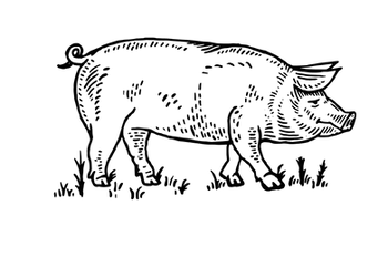 0e43fe_3838aaf4dc6346b599f8935cc1f08d2f~mv2.png