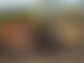 Gyru-Star SL Range: Screening Buckets for Skid Steers and Compact Track Loaders