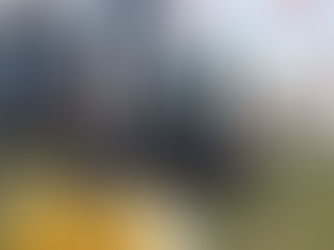 Gyru-Star 3-100HE screening bucket on a Yanmar excavator