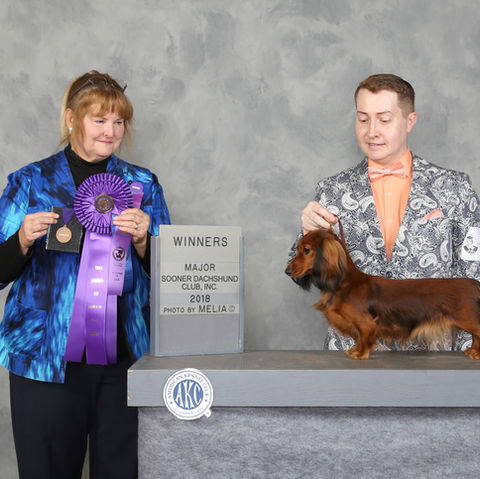 CH. Charlton's Lillehammer