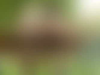 ¿Por qué invertir en tu retiro?