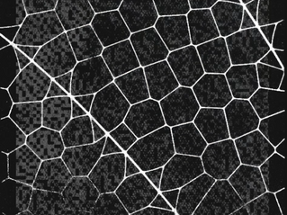 Project Glass Wing: Why AI Security Testing Matters in Modern Cybersecurity