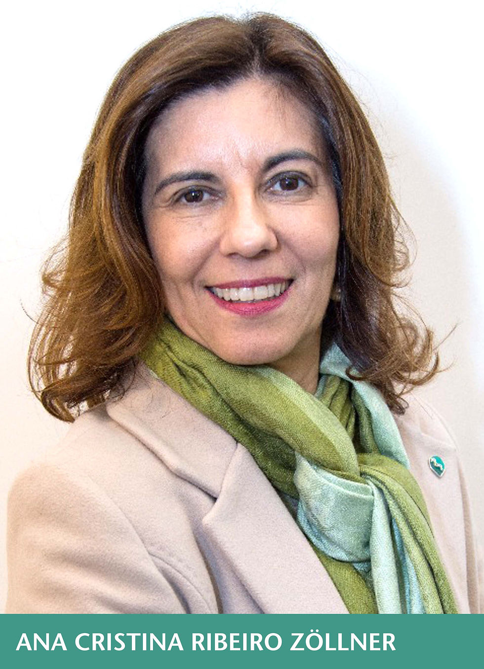 ANA CRISTINA RIBEIRO ZÖLLNER